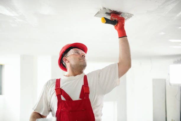 Best Drywall Sanding and Smoothing  in Garfield, TX